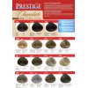 Crema-tinta resistente per capelli 241 Viola "Vip's Prestige"