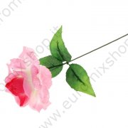 Rosa rosa 40 cm