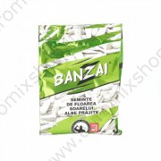 Semi di girasole bianchi "Banzai" (90g)