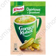 Zuppa di cetrioli "Knorr" con crostini (13gr)