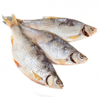 Abramide essecato Abramis brama (al kg)