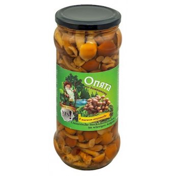 Chiodini cinese nameko in salamoia 530g