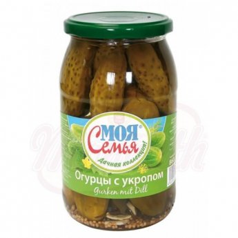 Cetrioli con aneto "La mia famiglia" (860g)