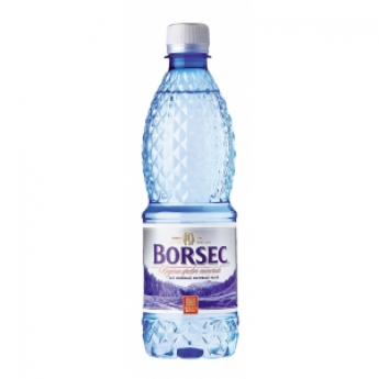 Acqua naturale "Borsec" (0,5L)