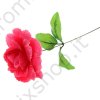Rosa lampone 40 cm